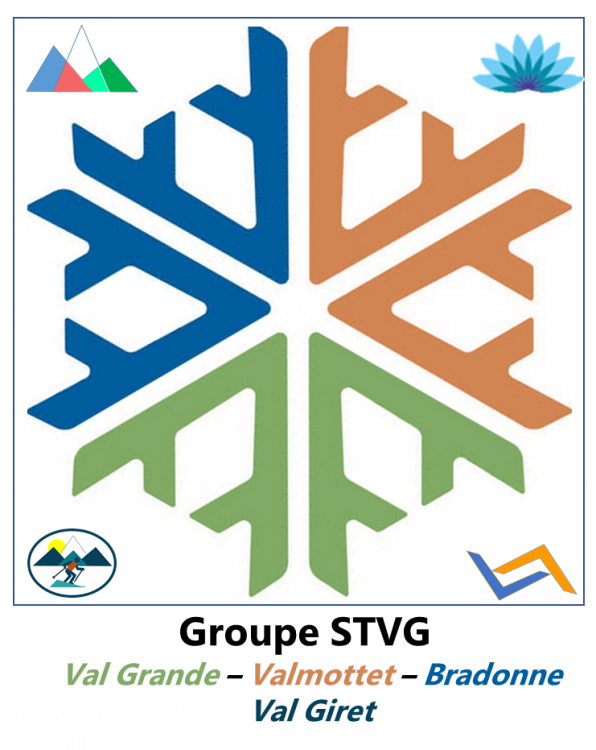 Logo Groupe STVG.png